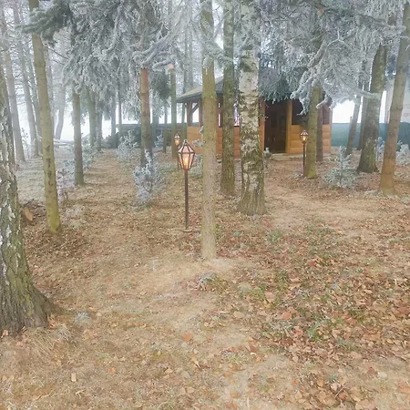 Apartmán Rogoza Rogoznik (Lesser Poland)